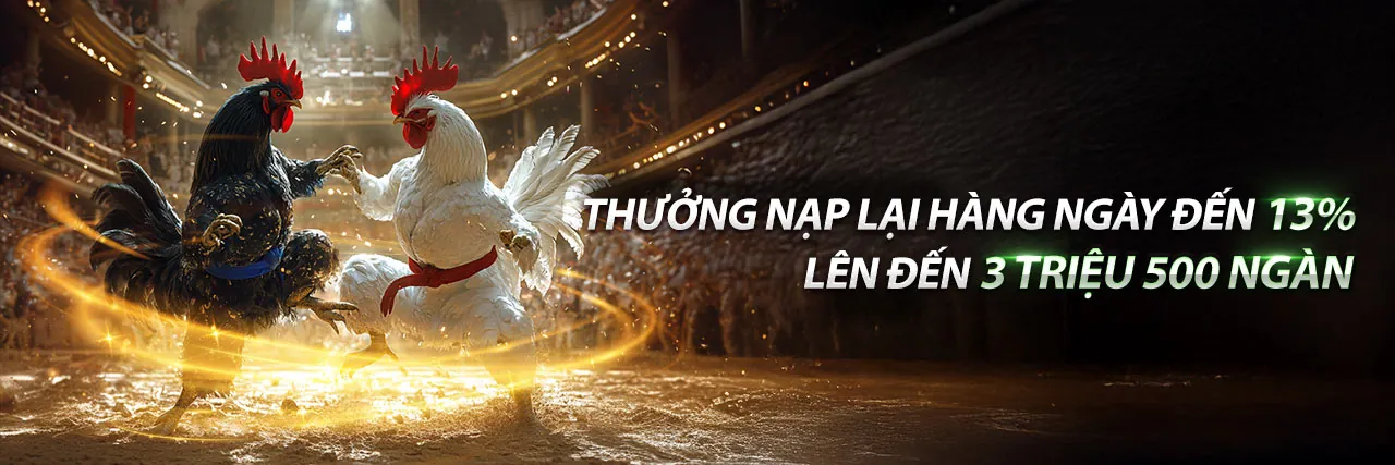 Đối tác mk88 - Hợp tác thành công